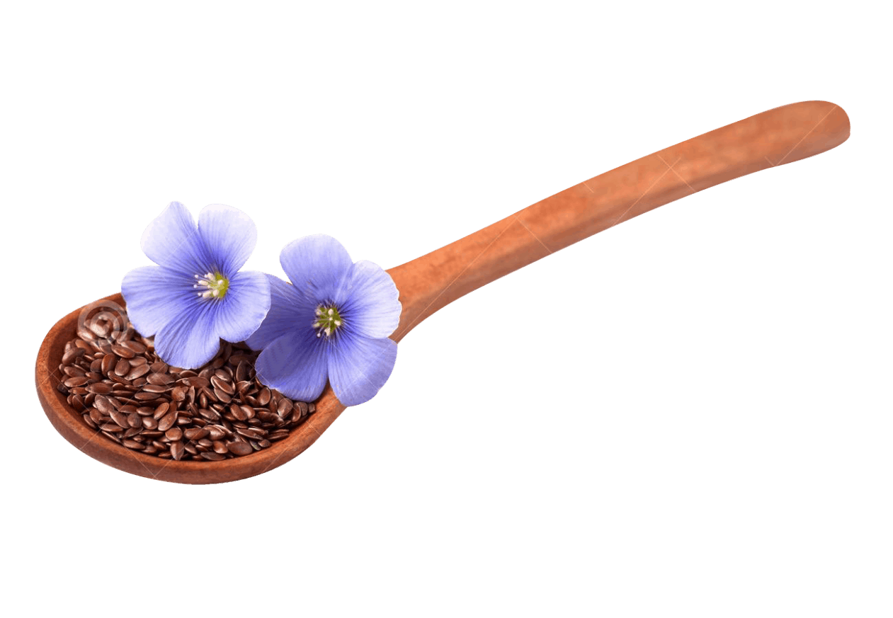Is Flax Seed Good For Hemorrhoids Heal My Hemorrhoids