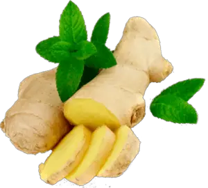 How To Use Ginger For Hemorrhoids - Heal My Hemorrhoids