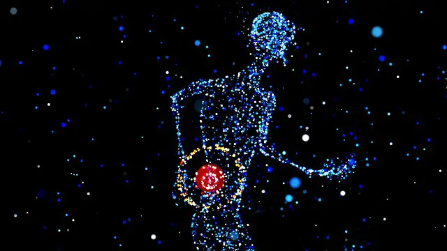 Difference Between Internal And External Hemorrhoids Heal My Hemorrhoids Difference Between Internal And External Hemorrhoids Heal My Hemorrhoids
